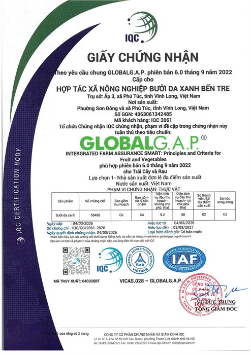 Bưởi Da Xanh Đạt Chuẩn GlobalGAP Bền Vững